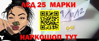 apvp Бийск