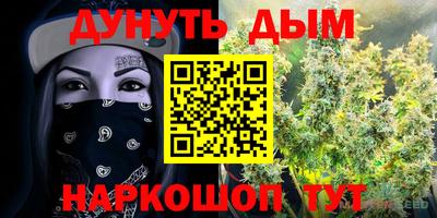 apvp Бийск