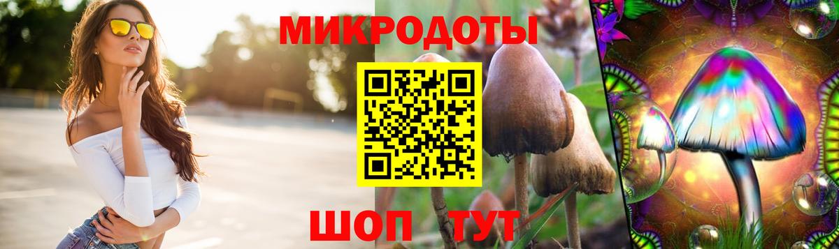 Галлюциногенные грибы Cubensis Кизляр
